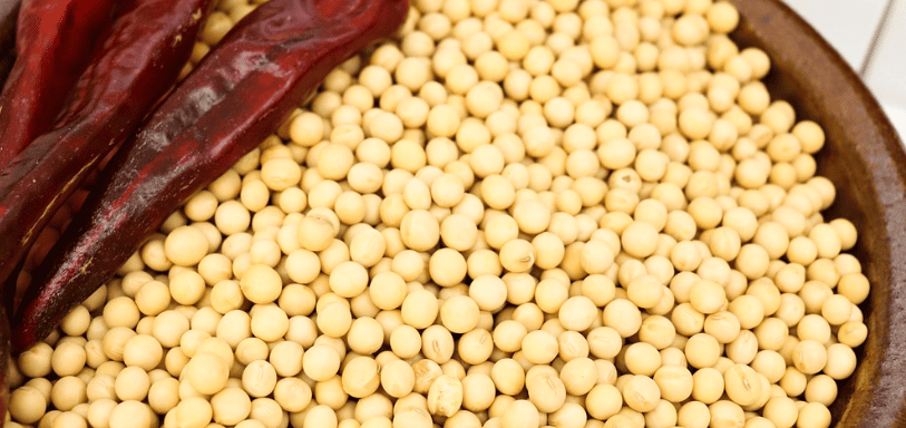 된장 효능 관련 사진10