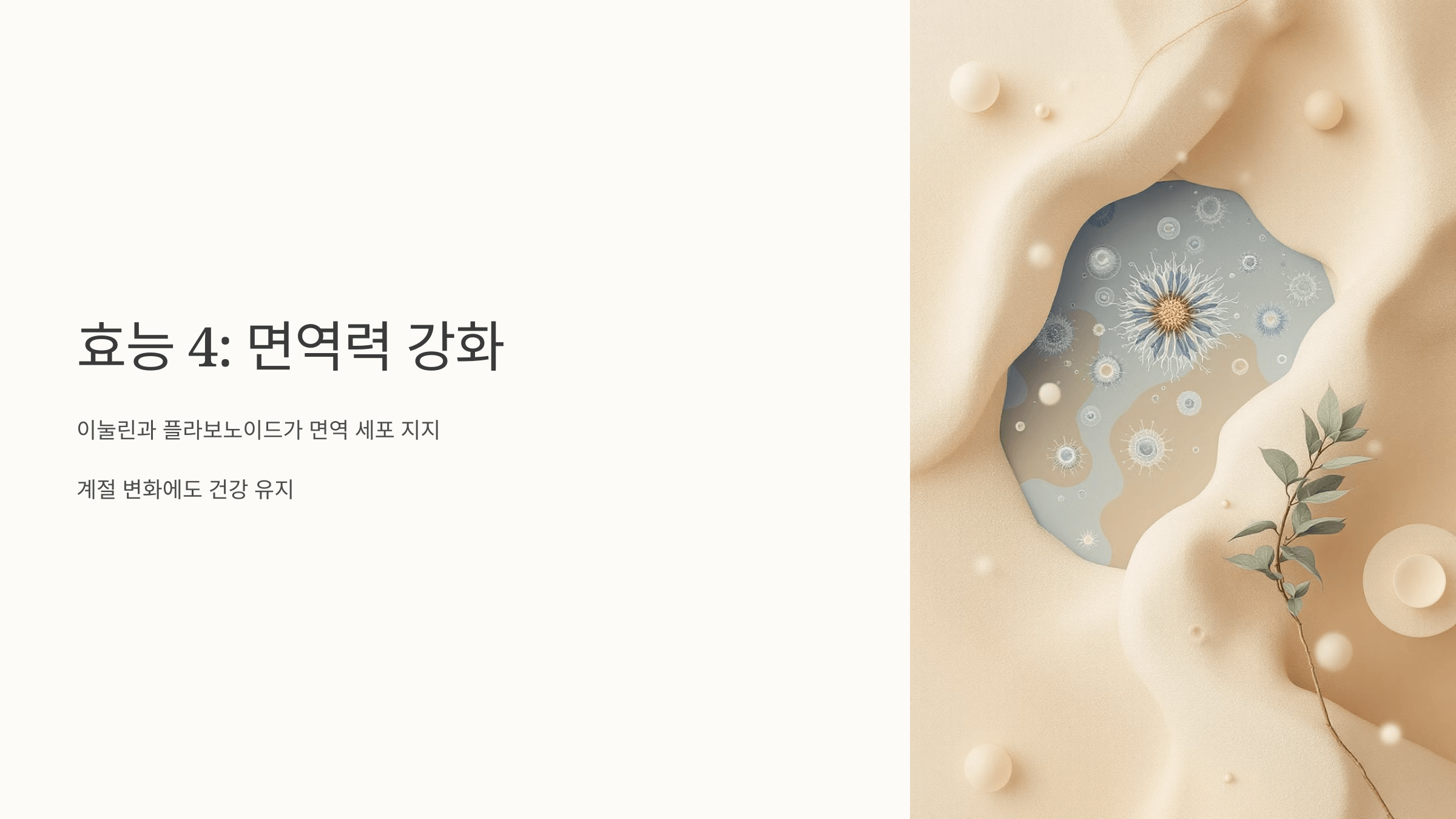 칡즙 사진입니다.