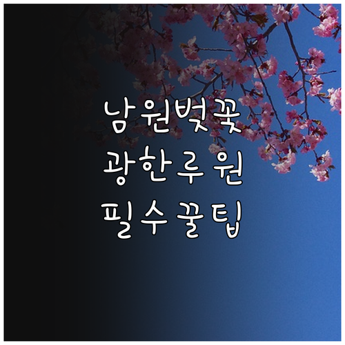 남원 요천 벚꽃 축제 일정과 광한루원..