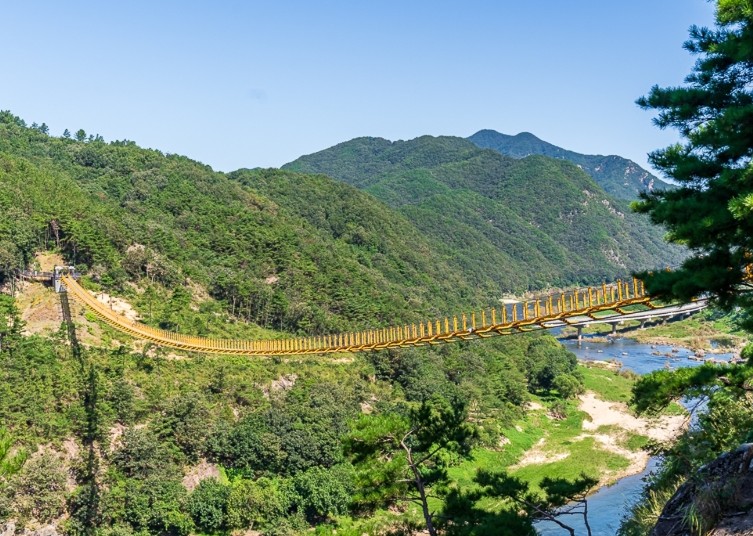 월영산출렁다리 경관