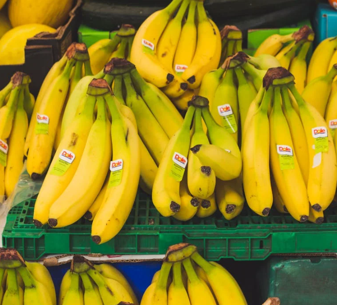 위에 좋은 음식 10