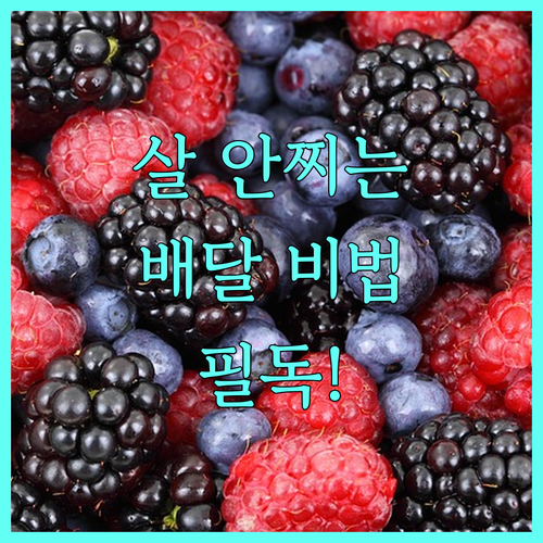 배달 음식 칼로리 낮추는 요청사항 작..