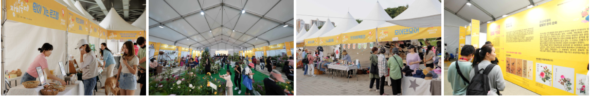 중랑구 장미축제 행사