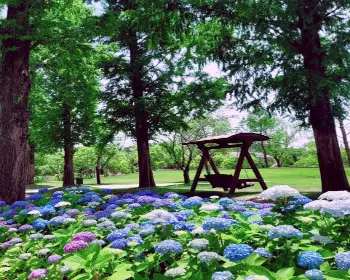 순천만 국가정원_12