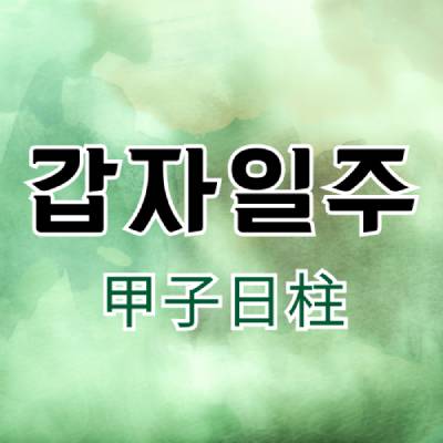 갑자일주 60갑자 일주론