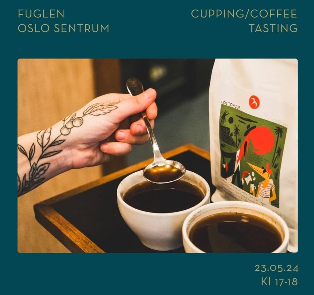 푸글렌 반드시 알아야 하는 주문 팁, 단점, 후기