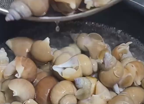 백골뱅이의 주요 영양 성분