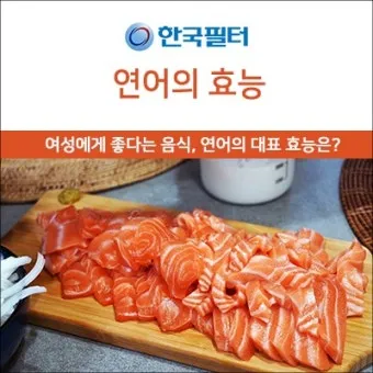 연어 효능 부작용 으로_23