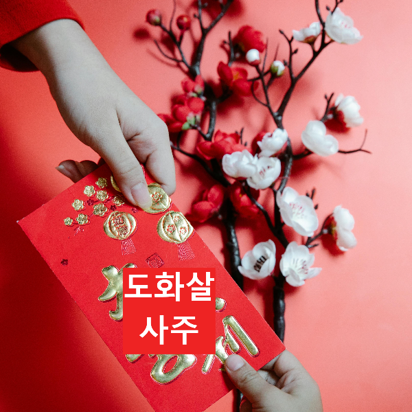 도화살