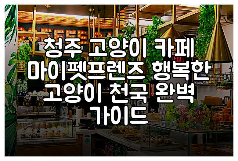 청주 고양이 카페 마이펫프렌즈 행복한 고양이 천국 완벽 가이드
