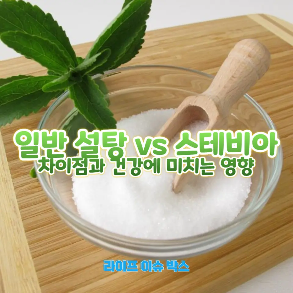 일반 설탕 vs 스테비아