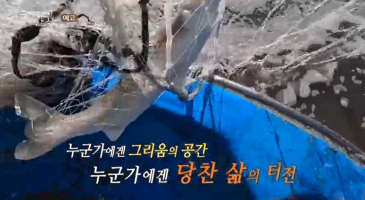 잡아올리는숭어-한국인의밥상