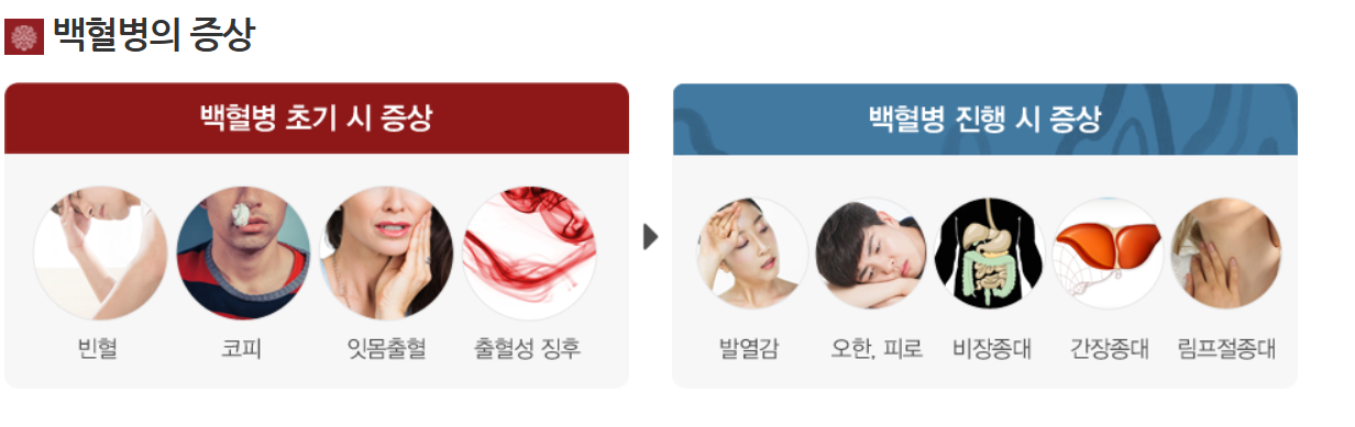 백혈병의 주요 증상과 조기 발견