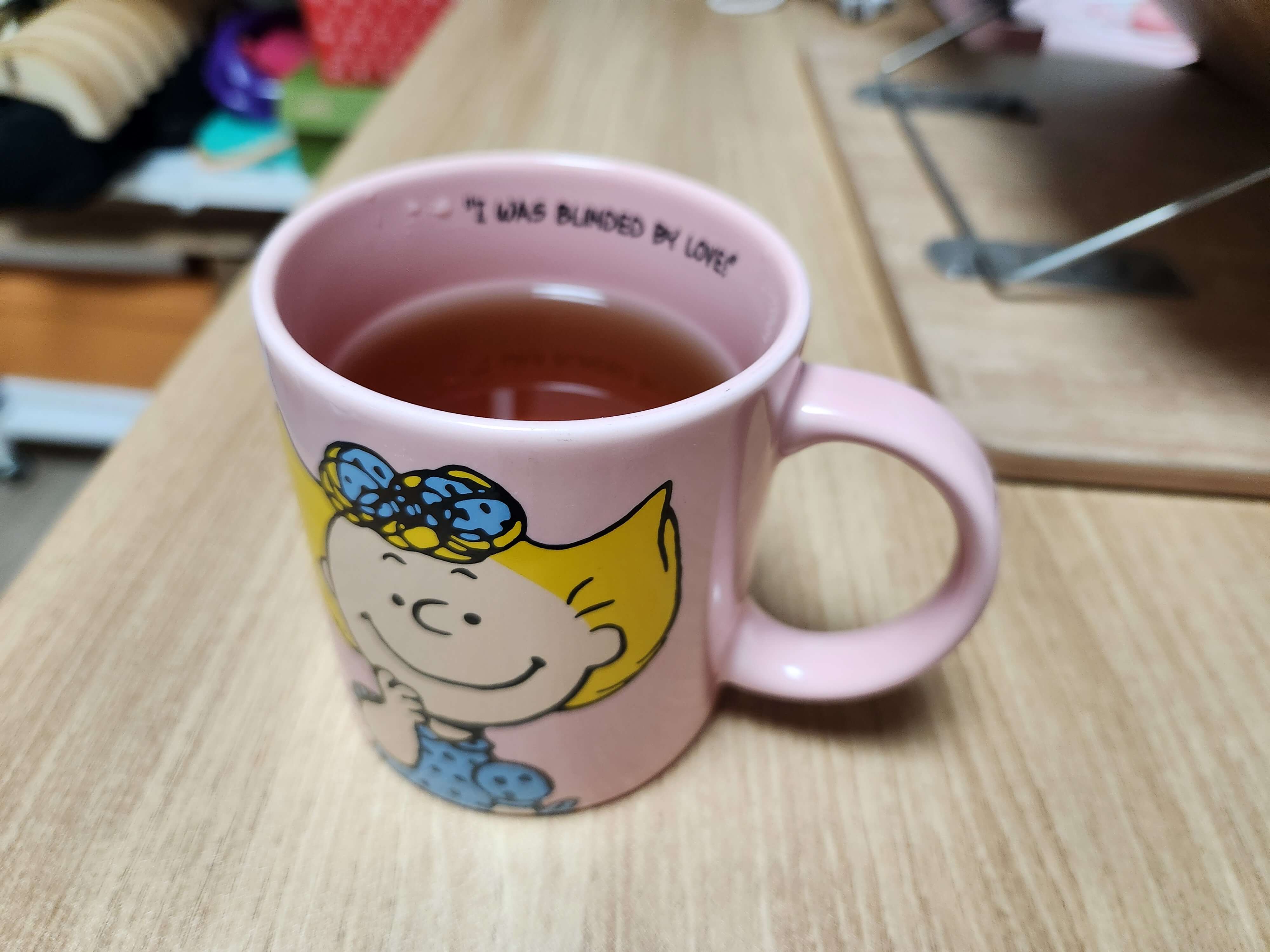 다이소 다시백