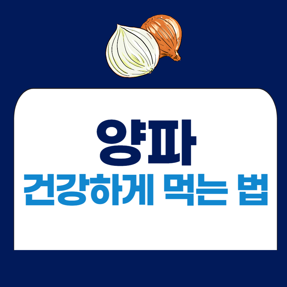 양파 건강하게 먹는 법, 양파 섭취 방법, 양파 조리법