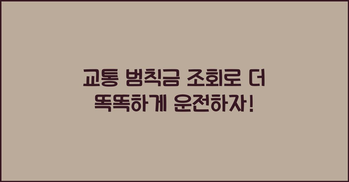 교통 범칙금 조회