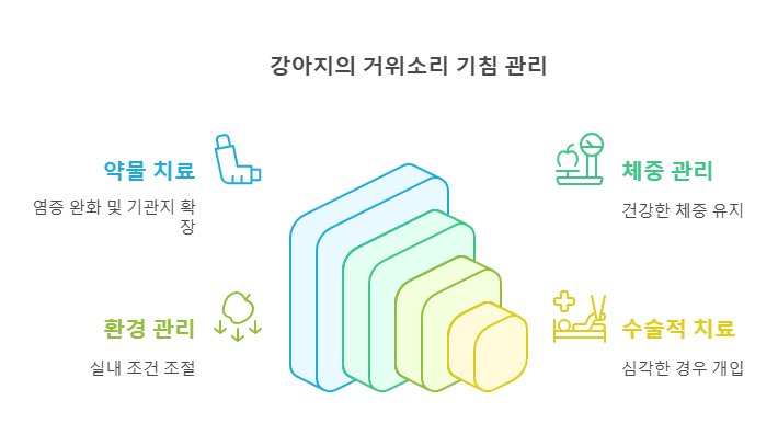 반려견 리버스 스니징