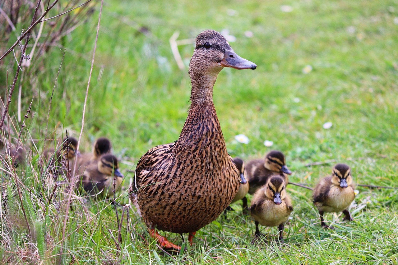 퇴직연금 계산방법