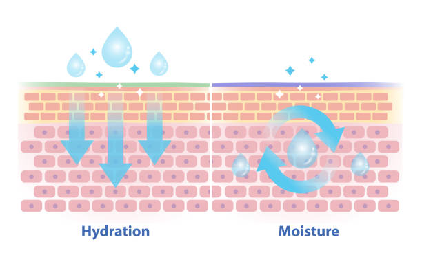 피부장벽 관리 방법