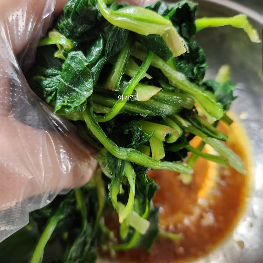 봄제철 취나물 손질 영양만점 취나물 무침 만드는 법 제철 나물