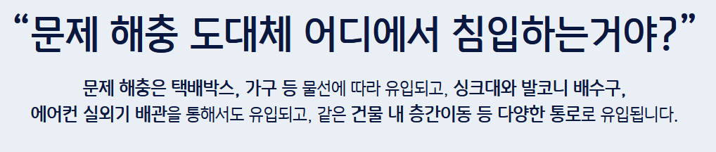 바퀴벌레 퇴치방법