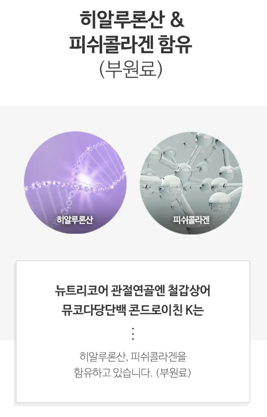 사진23