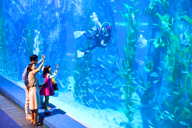 롯데월드 타워 아쿠아리움