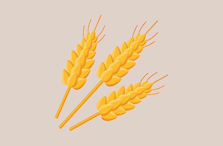 케라넷-하루-섭취-권장량