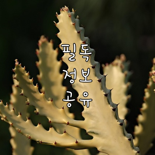 부모 육아휴직 각 1년 신청 자격과 ..