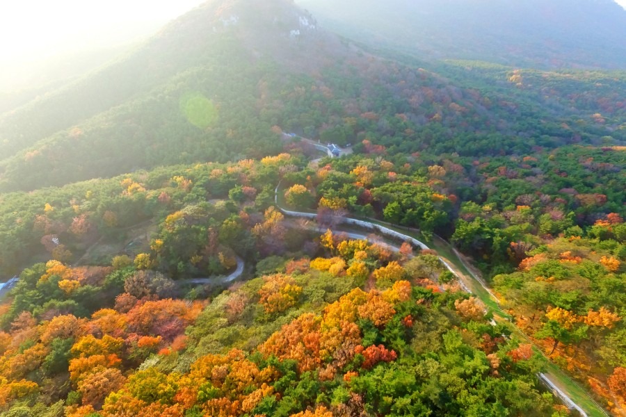 부산 가을 감성 여행 꿀팁