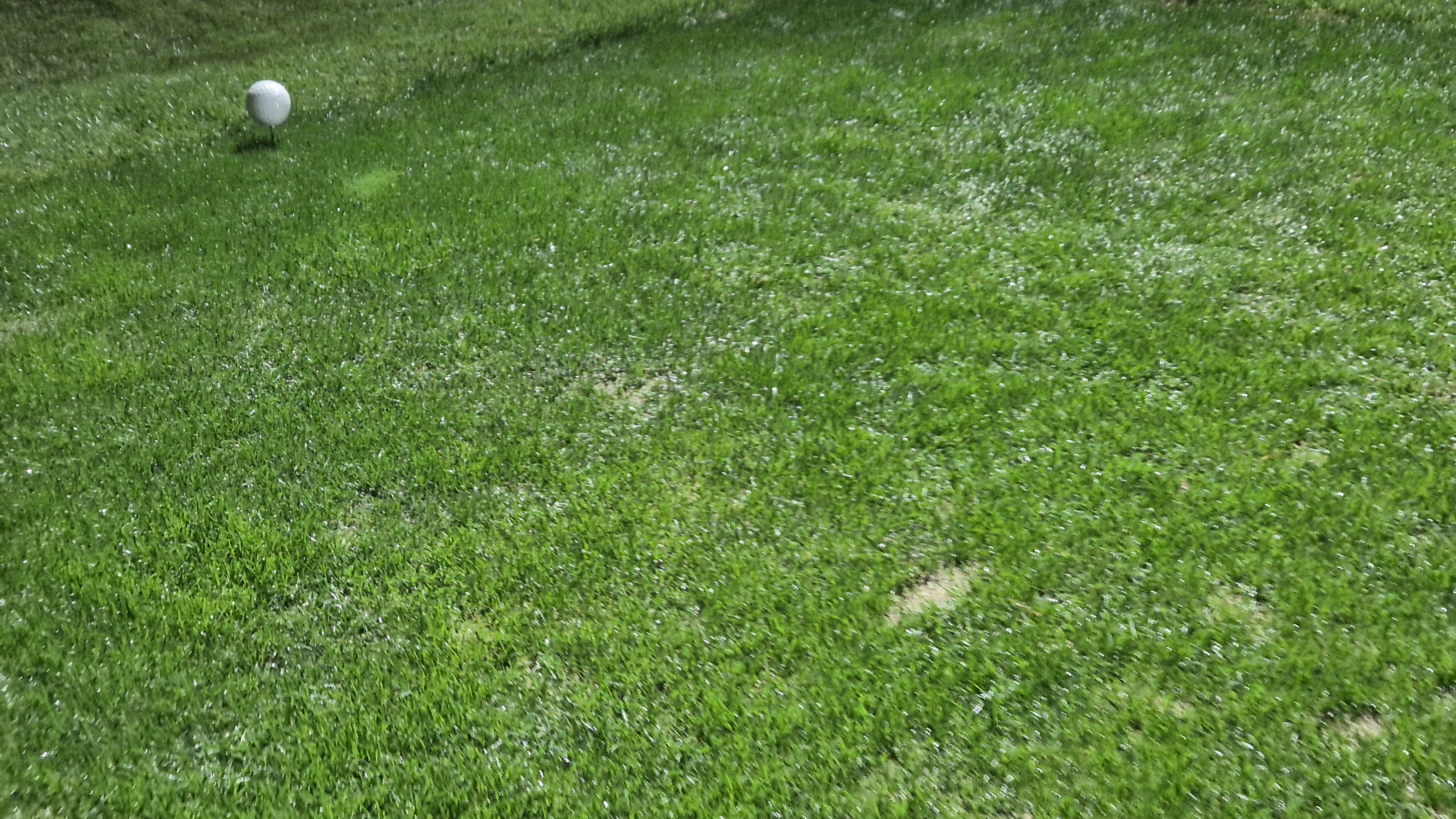 블루원용인cc 티잉구역상태