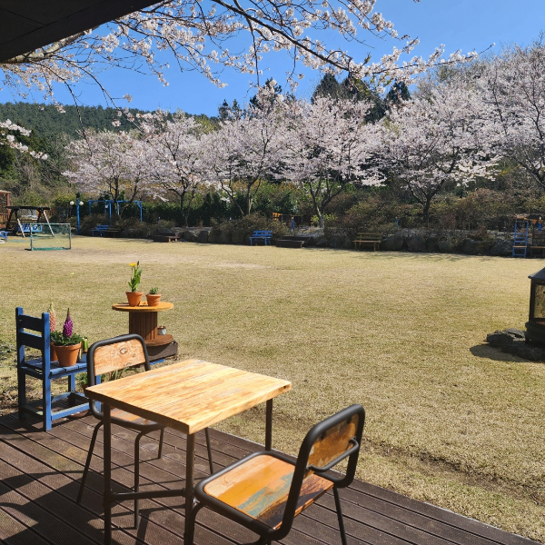 제주도 '골체오름캠핑' 캠핑장 미리보기