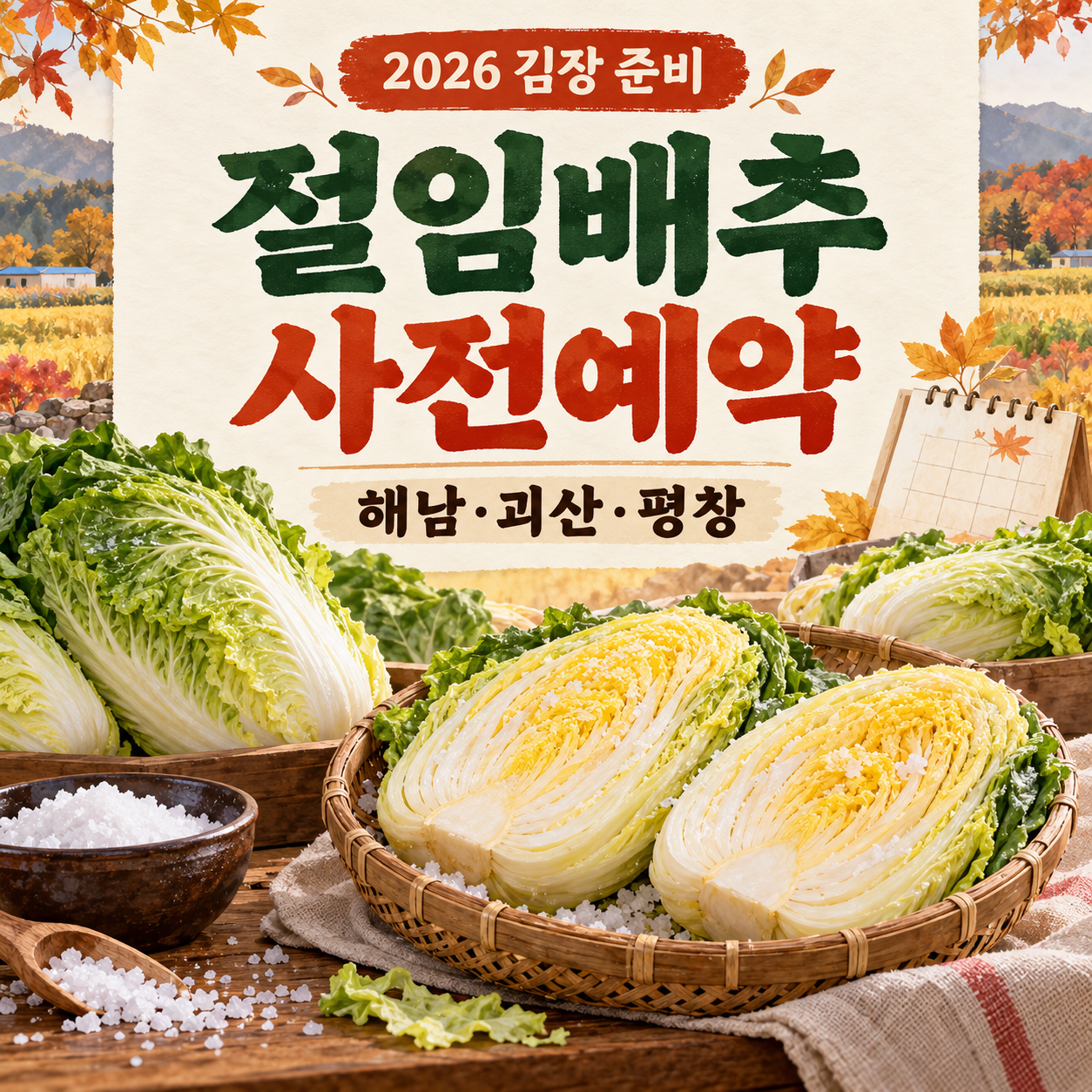 2026 절임배추 사전예약 언제? 해남·괴산·평창 오픈 일정과 가격