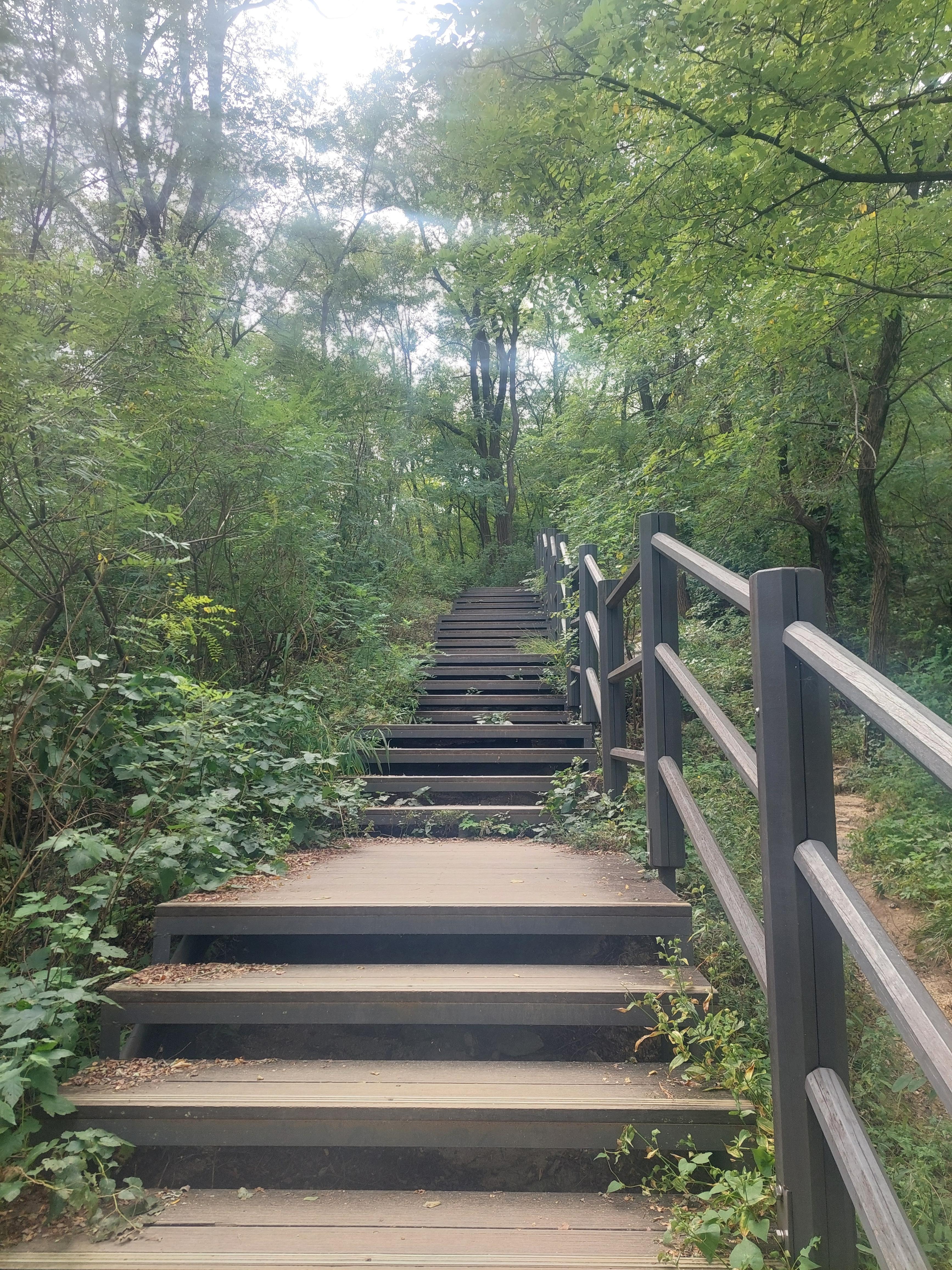 안산