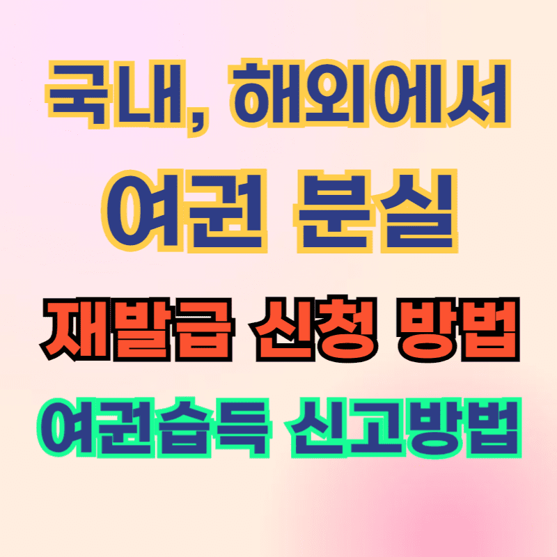 국내, 해외에서 여권 분실 재발급 신청 방법, 여권 습득 신고 방법