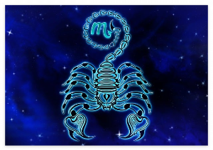 산수도인 별자리 11월 월간 오늘의 운세