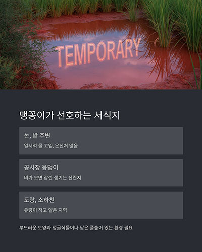 일시적으로 물이 고이는 논습지 중심