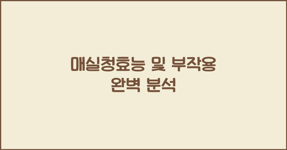 매실청효능