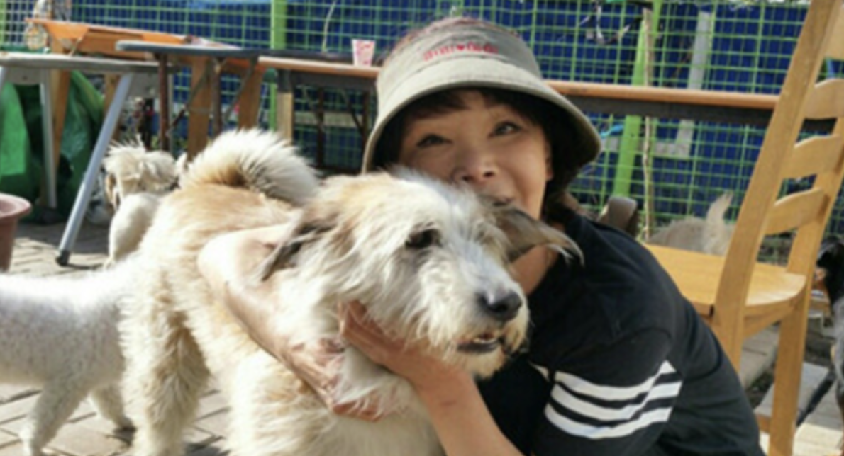 이용녀 유기견 보호