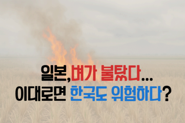 일본 ‘쌀 대란’의 배경과 주요 이슈