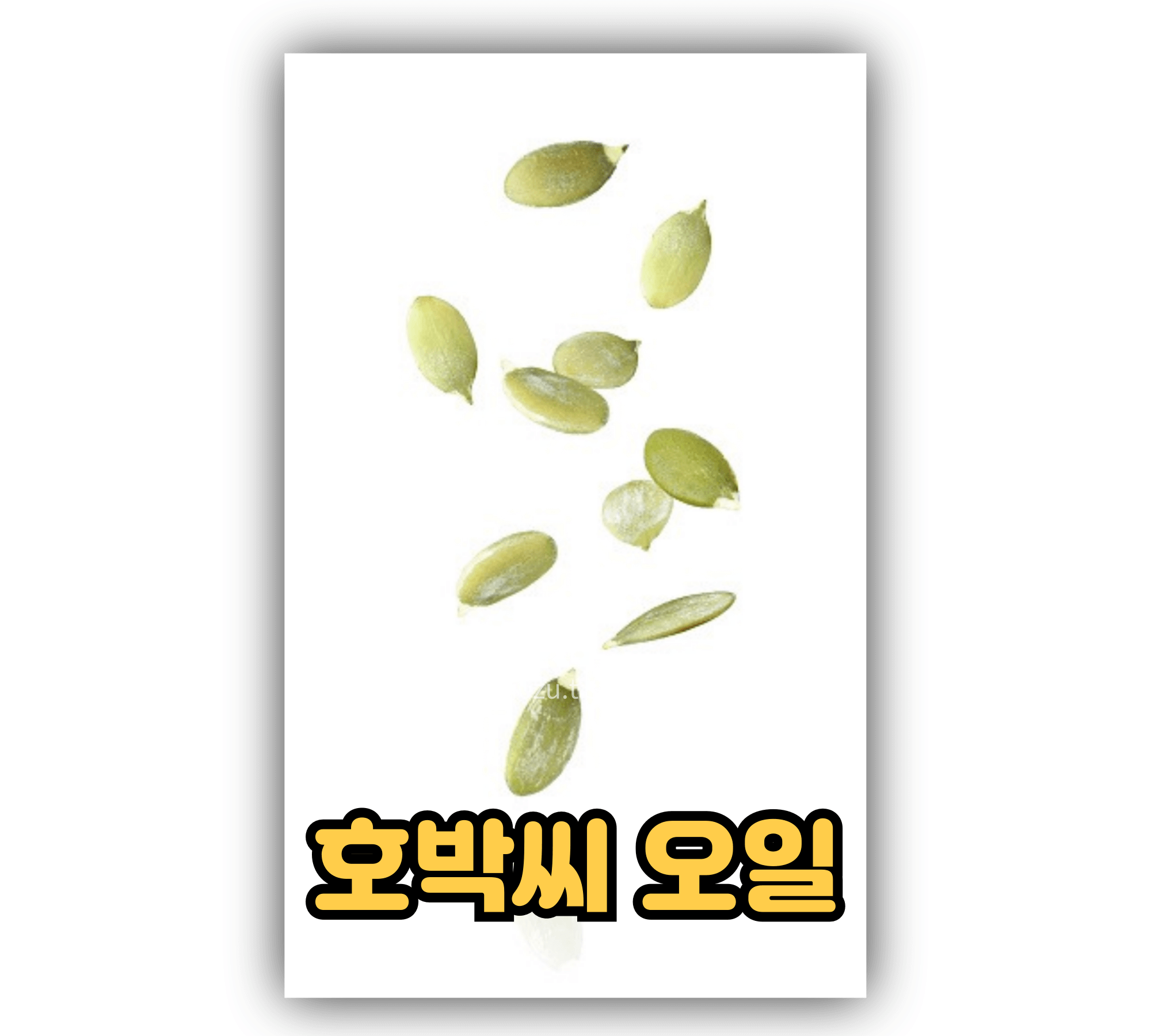 호박씨-오일.jpg
