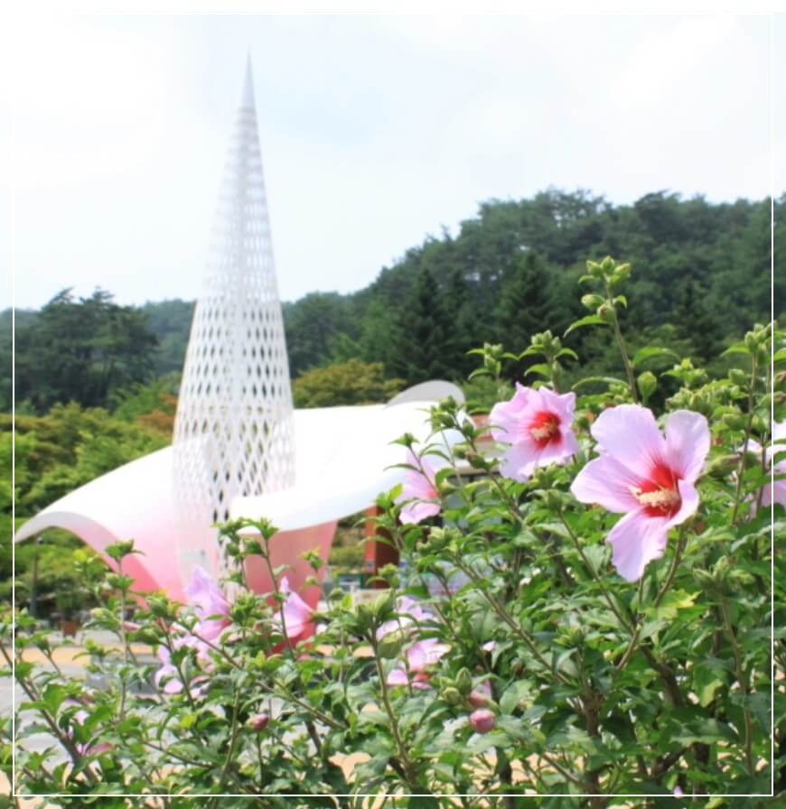 홍천 가볼만한곳 베스트10 홍천 무궁화수목원