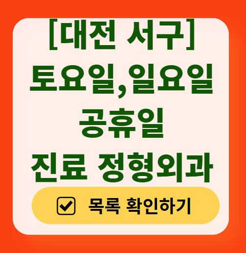 대전 서구 주말 진료 정형외과 병원 리스트 총정리 ❘ 토요일 일요일 공휴일 영업 목록