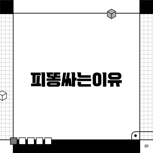 피똥싸는이유