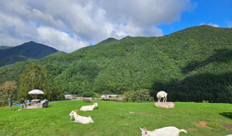 몽토랑 산양목장