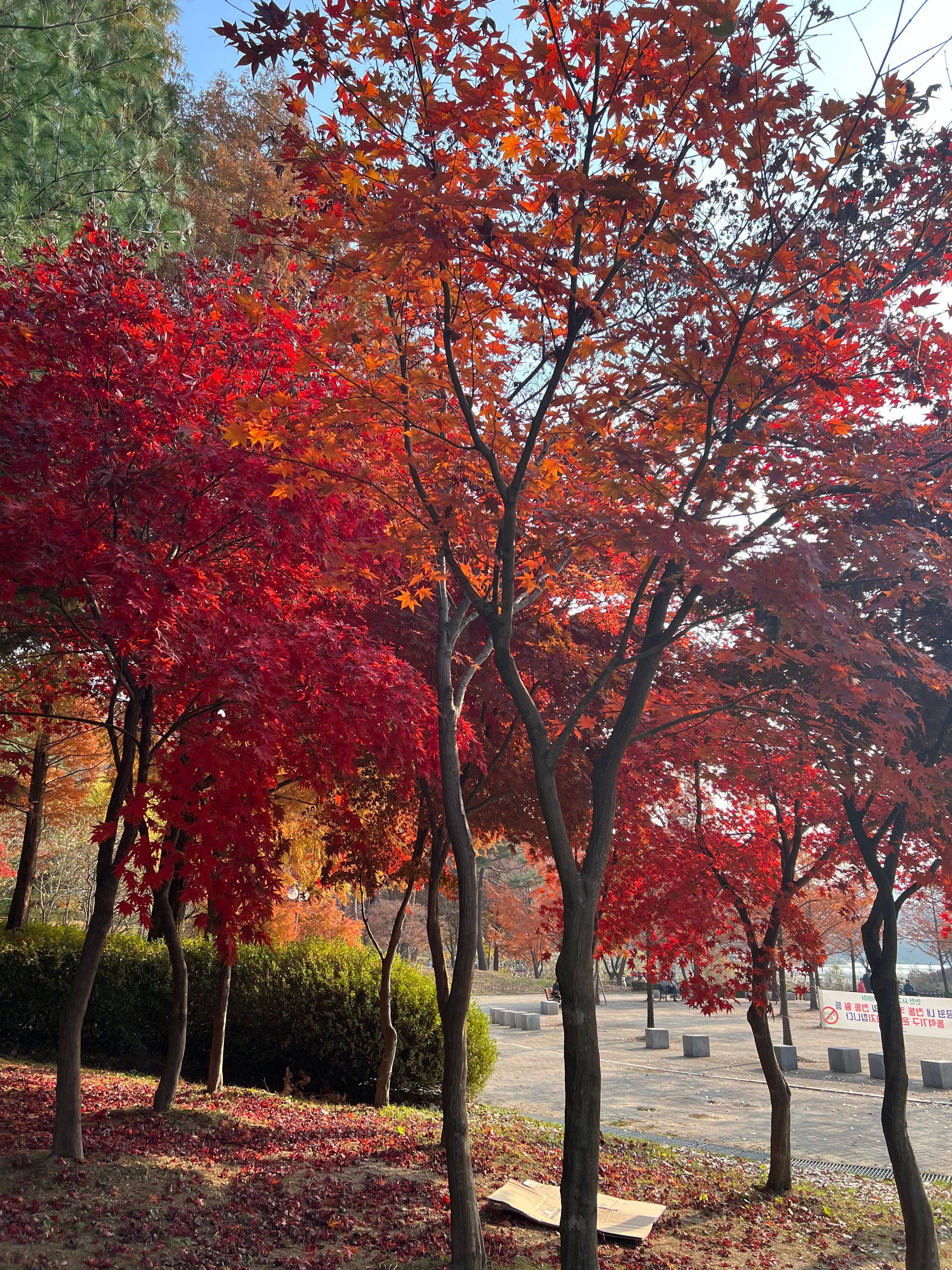 10&middot;15 부동산 대책 이후, FIRE족을 위한 은퇴 주거 전략