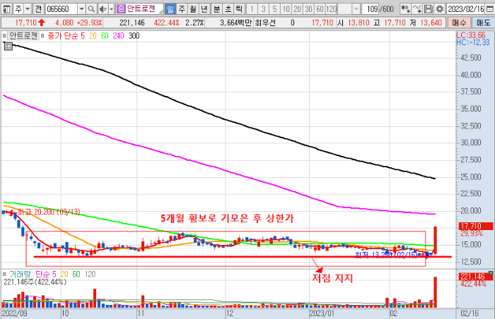 2월 16일 안트로젠 일봉 차트