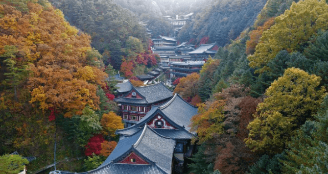 구인사