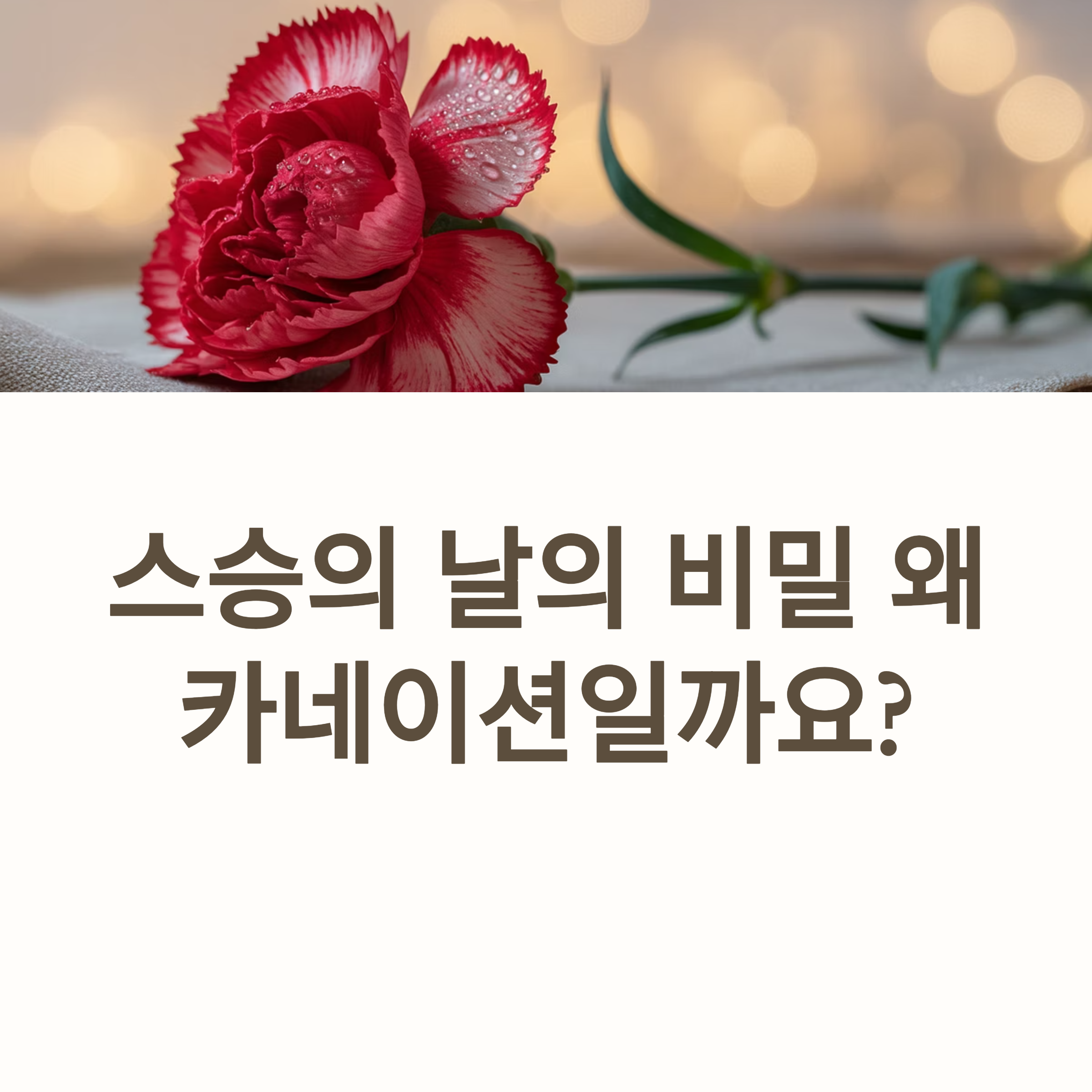 스승의날 유래와 의미 - 첫 카네이션 이야기
