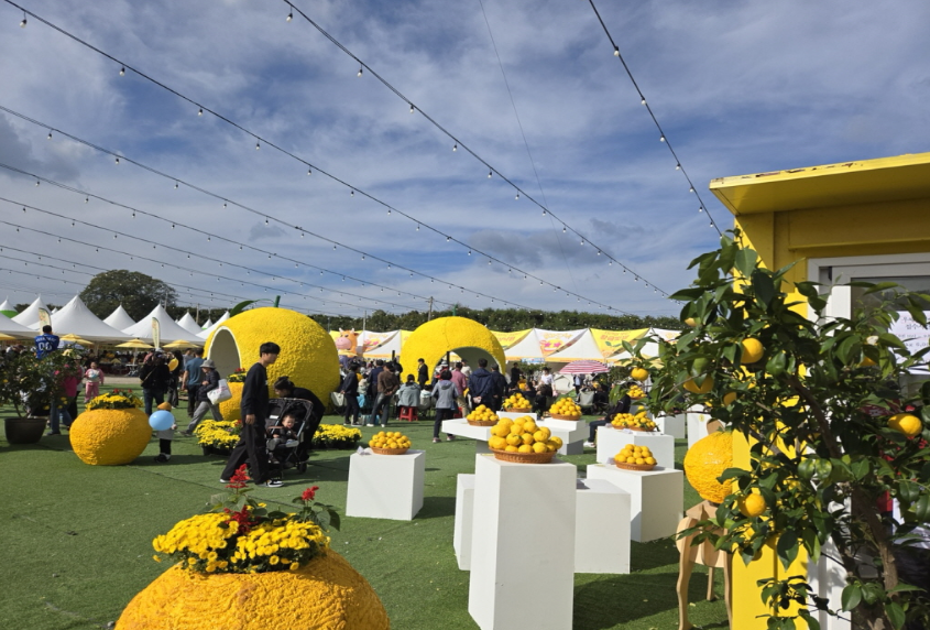 고흥유자축제 일정 프로그램 주변 맛집 숙소 교통 주차 정보